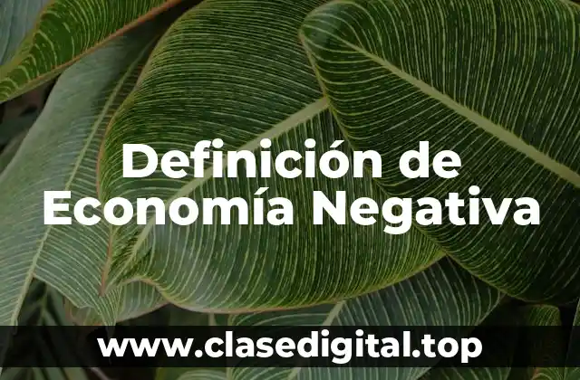 Definición técnica de Economía Negativa