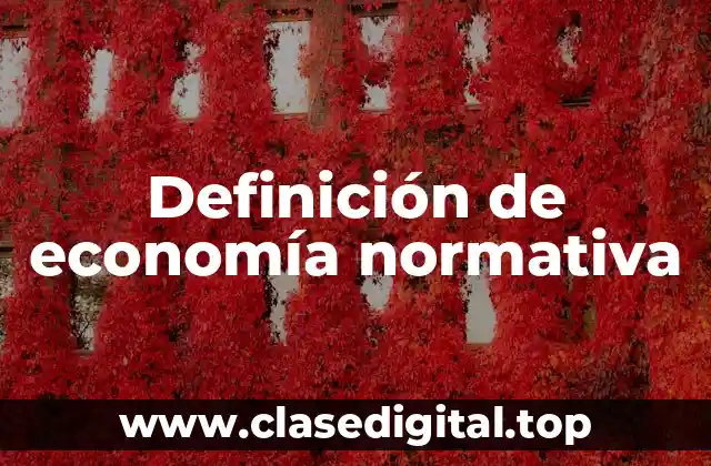 Definición técnica de economía normativa