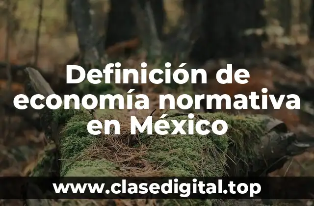 Definición de economía normativa en México
