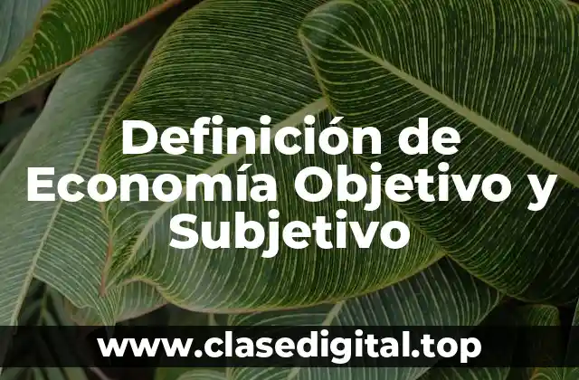 Definición de Economía Objetivo y Subjetivo