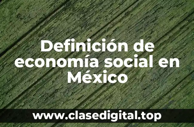 Definición de economía social en México