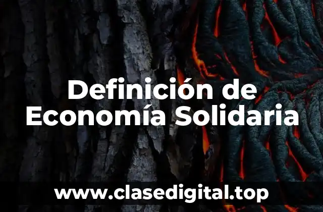 Definición de Economía Solidaria