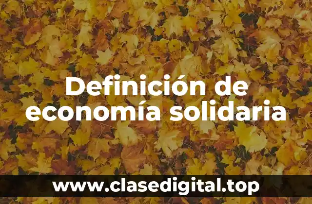 Definición técnica de economía solidaria