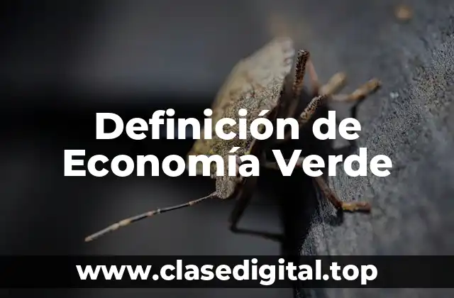 Definición de Economía Verde