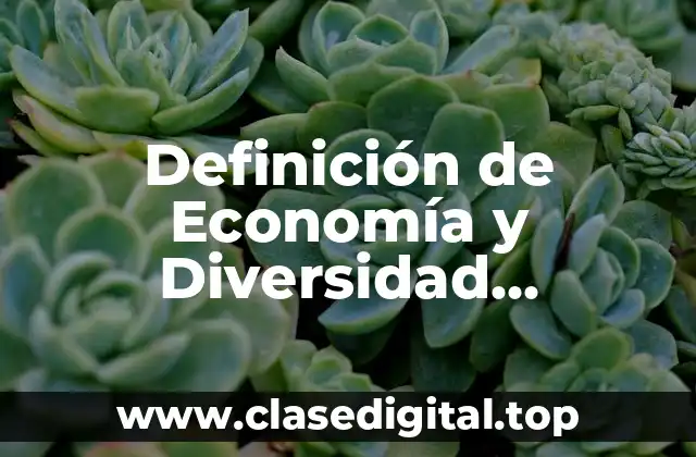 Definición de Economía y Diversidad Económica