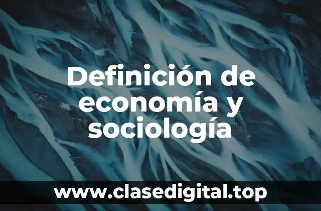 Definición de economía y sociología