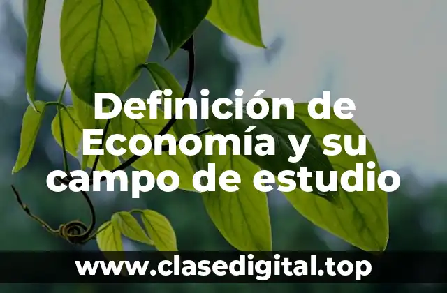 Definición de Economía y su campo de estudio