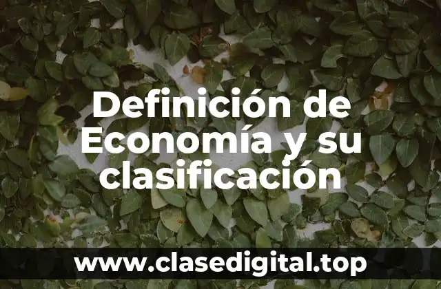 Definición de Economía y su clasificación