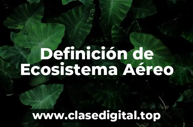 Definición de Ecosistema Aéreo