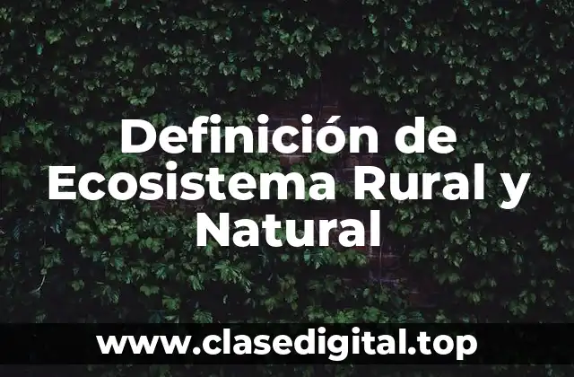 Definición de Ecosistema Rural y Natural