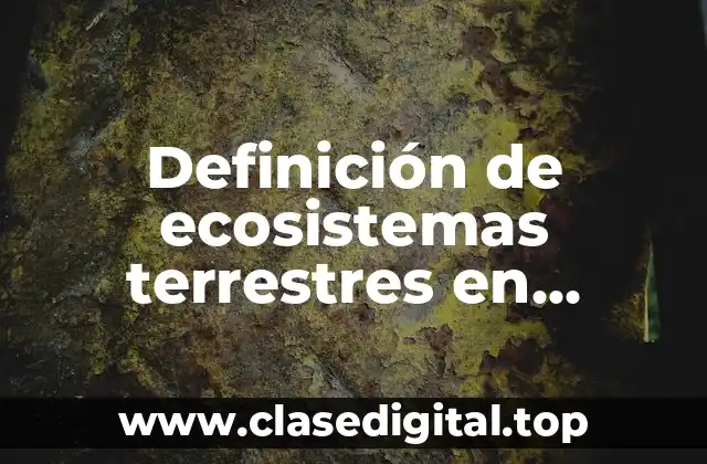 Definición de ecosistemas terrestres en Colombia