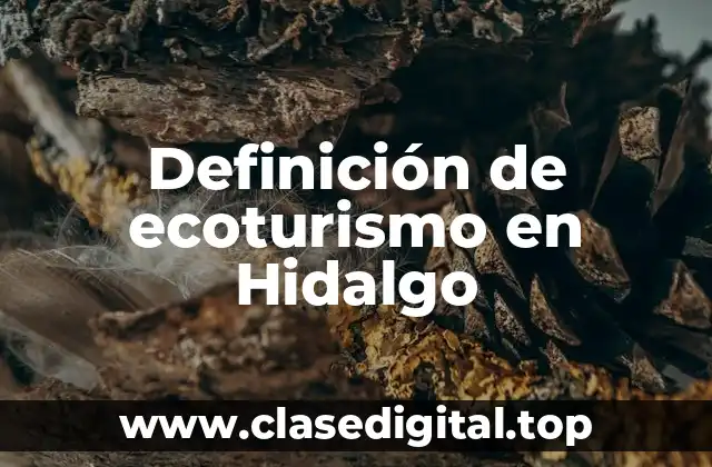 Definición de ecoturismo en Hidalgo