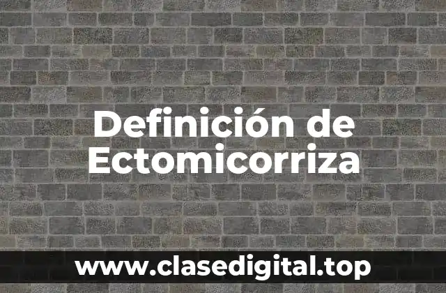 Definición de Ectomicorriza