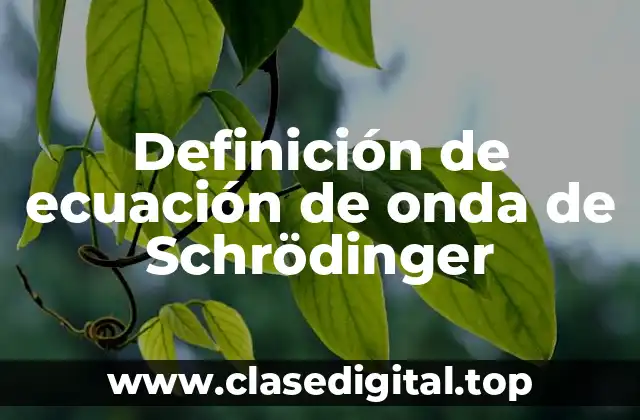 Definición de ecuación de onda de Schrödinger