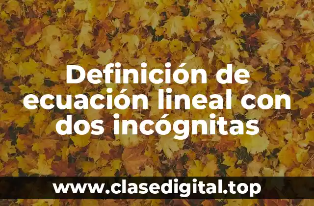 Definición técnica de ecuación lineal con dos incógnitas
