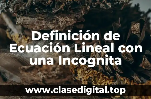 Definición técnica de Ecuación Lineal con una Incognita