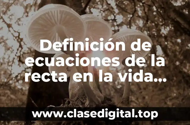 Definición de ecuaciones de la recta en la vida diaria