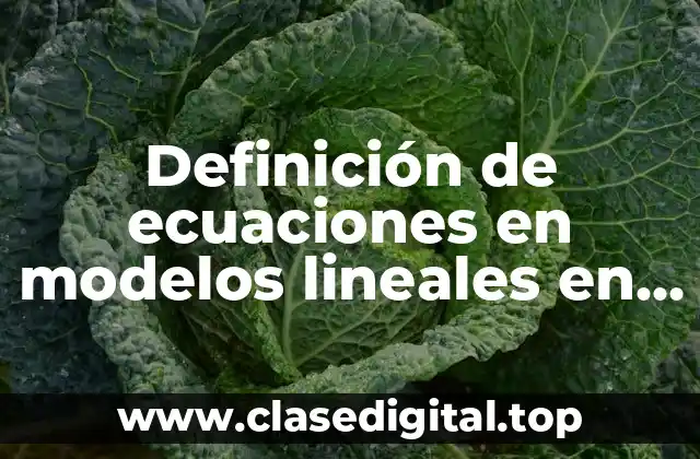 Definición de ecuaciones en modelos lineales en la vida cotidiana
