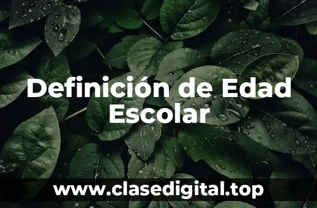 Definición de Edad Escolar