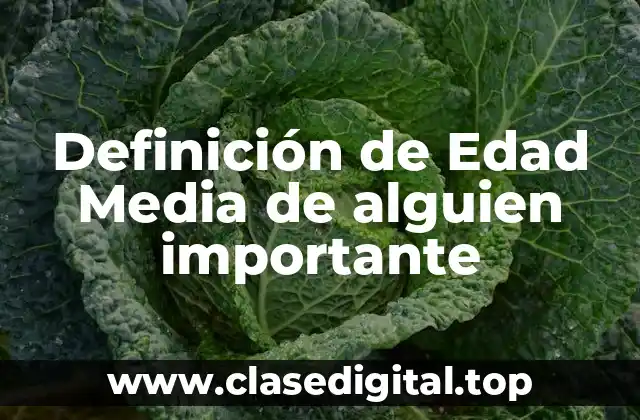 Definición de Edad Media de alguien importante