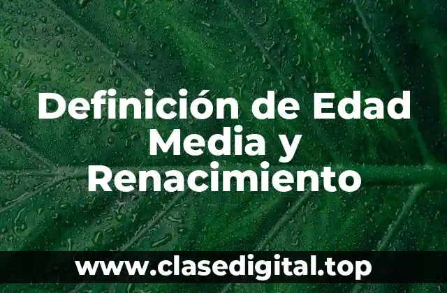 Definición técnica de Edad Media