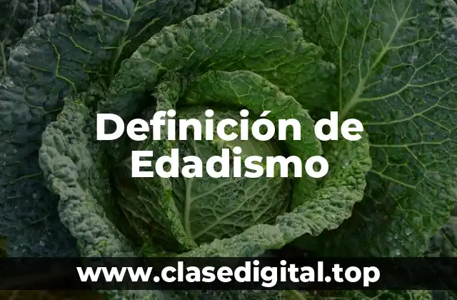 Definición de Edadismo