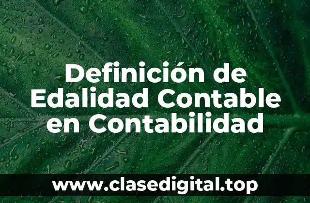 Definición Técnica de Edalidad Contable