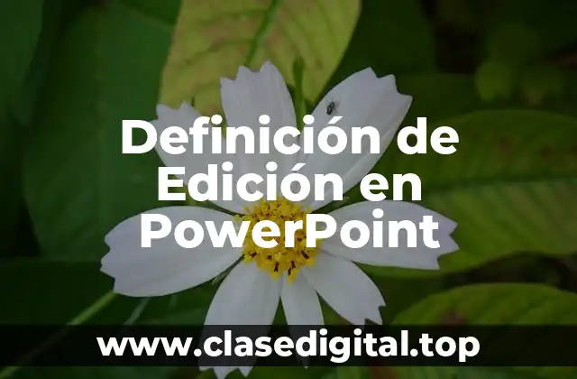Definición de Edición en PowerPoint