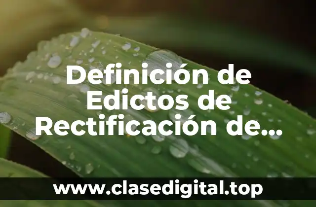 Ejemplos de Edictos de Rectificación de Acta en Puebla