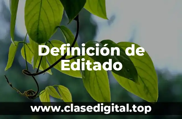 Definición de Editado