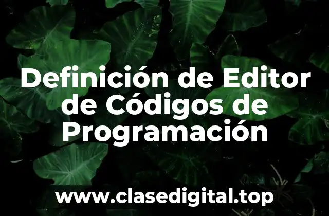 Definición Técnica de Editor de Códigos de Programación