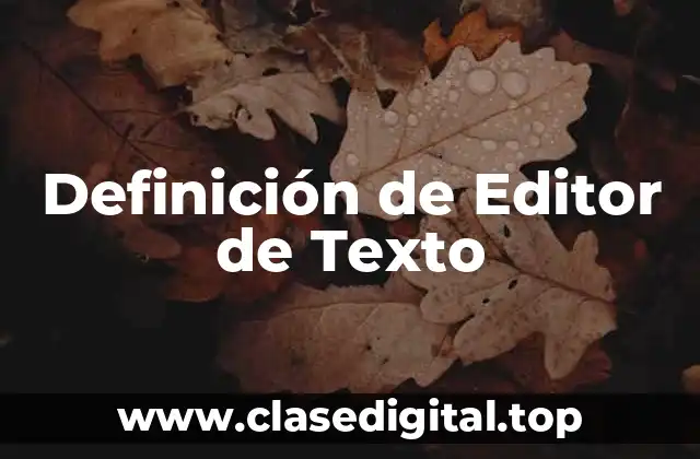 Ejemplos de Editores de Texto