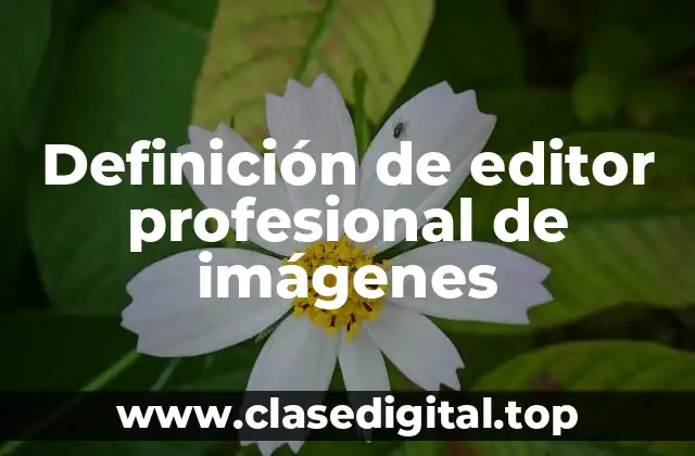 Definición de editor profesional de imágenes