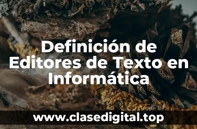 Definición de Editores de Texto en Informática