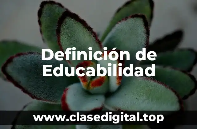 Definición de Educabilidad