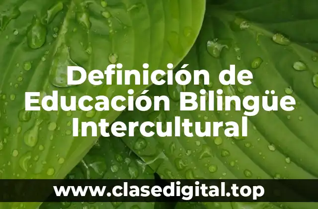 Definición de Educación Bilingüe Intercultural