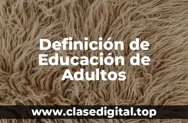 Definición de Educación de Adultos
