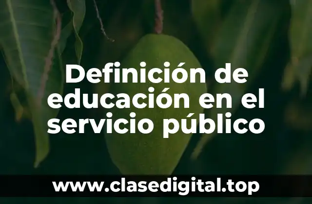 Definición de educación en el servicio público