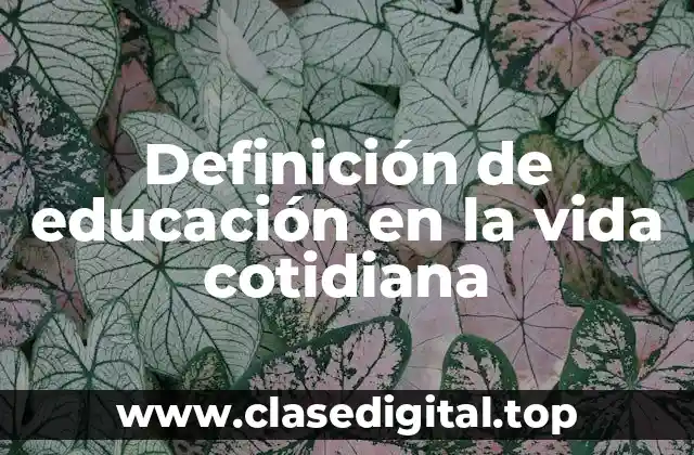 Ejemplos de educación en la vida cotidiana