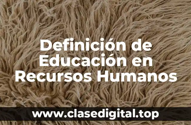 Definición de Educación en Recursos Humanos