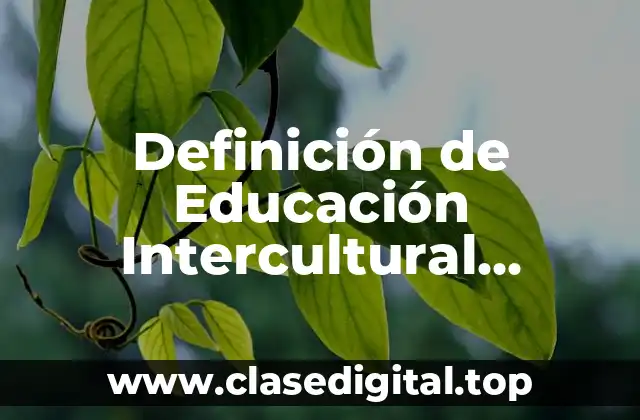 Definición de Educación Intercultural Bilingüe