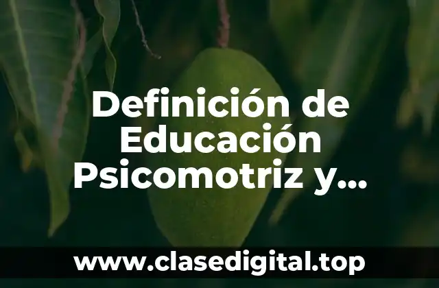 Definición de Educación Psicomotriz y Aplicación