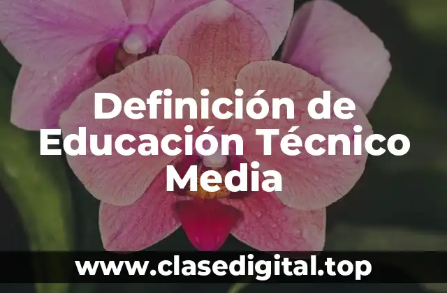 Definición de Educación Técnico Media