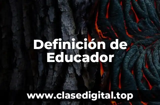 Definición técnica de educador