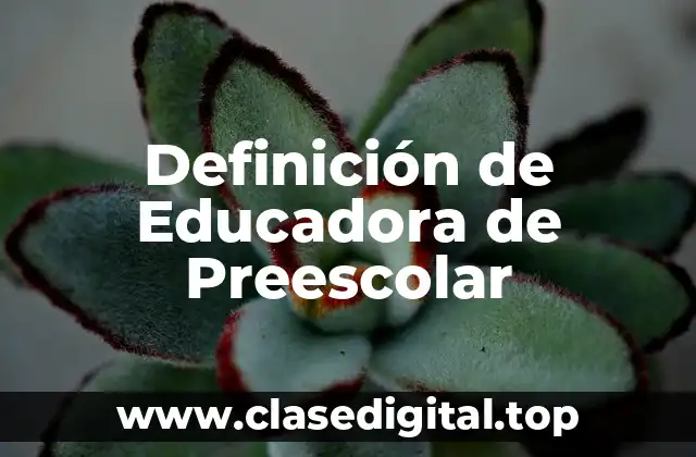 Definición Técnica de Educadora de Preescolar