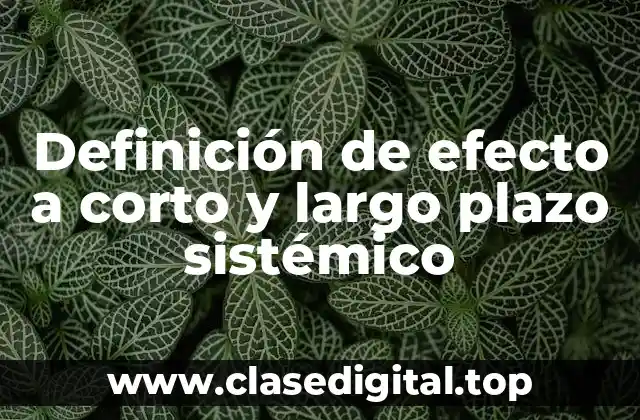 Ejemplos de efecto a corto y largo plazo sistémico