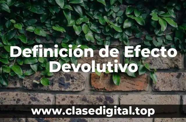Definición de Efecto Devolutivo