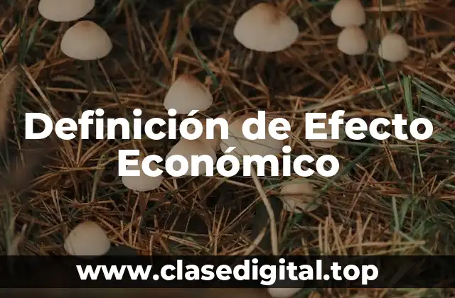 Definición de Efecto Económico