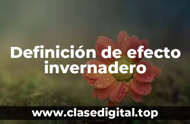 Definición de efecto invernadero