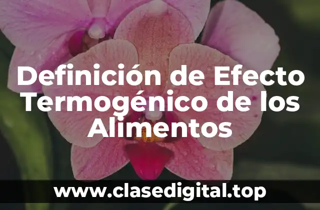 Definición de Efecto Termogénico de los Alimentos